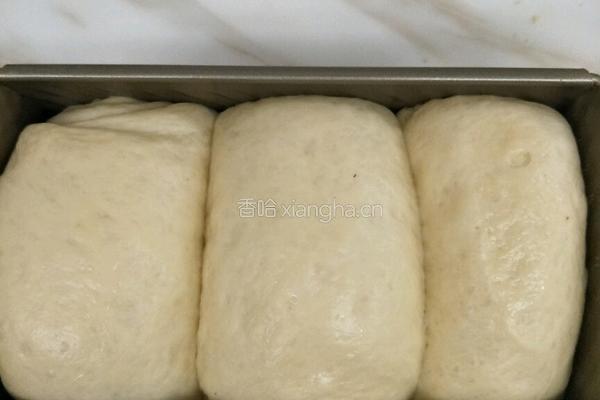 红豆馅吐司的做法图解8