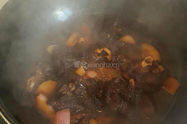 红烧羊肉白萝卜煲的做法图解5