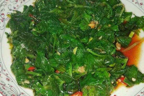 清爽凉拌芹菜叶十分钟搞定的做法图解4
