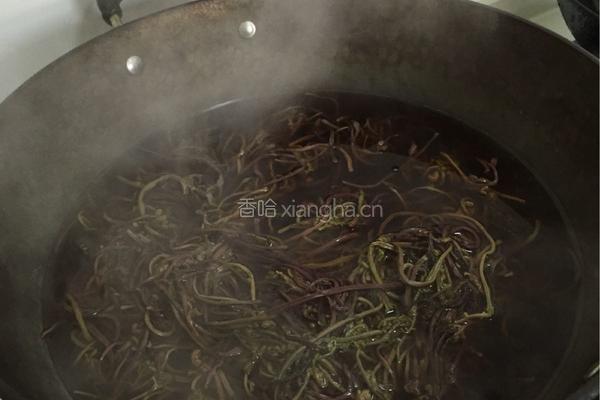 ‍蕨菜 的做法图解1