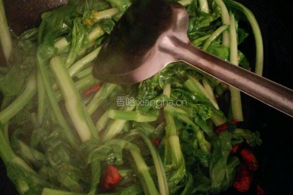 干辣椒爆炒菜心的做法图解4