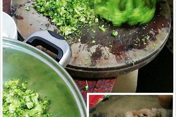 西兰花猪肉鲜虾饺的做法图解3