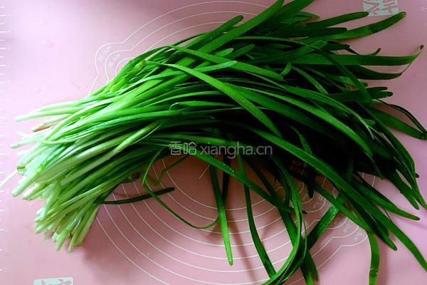 猪肉粉条韭菜包子的做法图解6