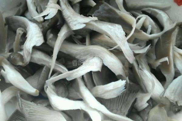 炸平菇的做法图解2