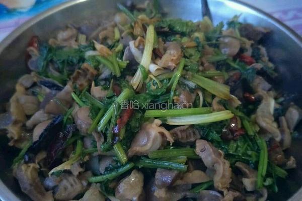 香辣鸡胗的做法图解5
