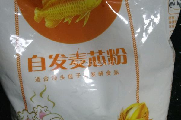 自制肉包的做法图解1