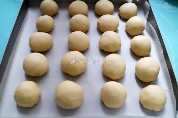 牛奶小餐包的做法图解7