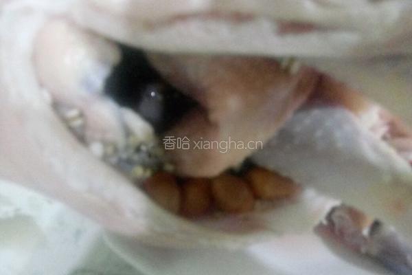胡椒猪肚鸡汤的做法图解6