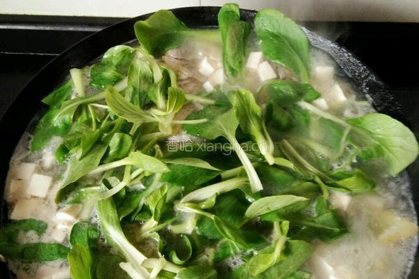 鲜嫩鲫鱼豆腐汤的做法图解5