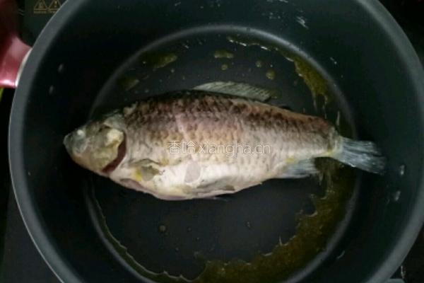 宝宝辅食鲫鱼豆腐汤的做法图解3