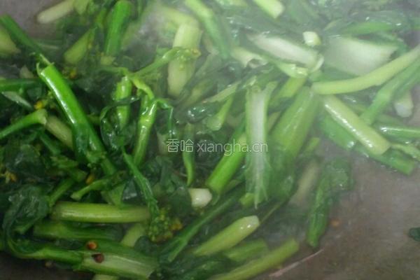辣椒籽炒菜苔的做法图解5