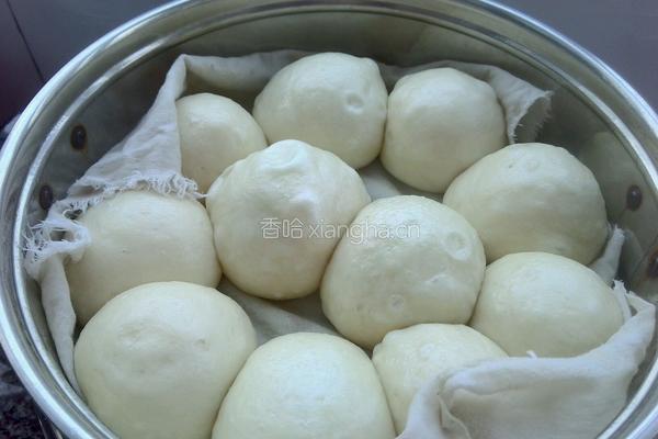 馒头(混合发酵 一次醒发)的做法图解18