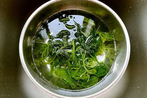 碎椒炝雪菜的做法图解1