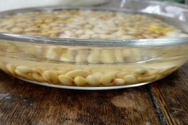 原味豆浆的做法图解1