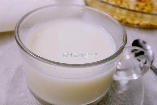 原味豆浆的做法图解5