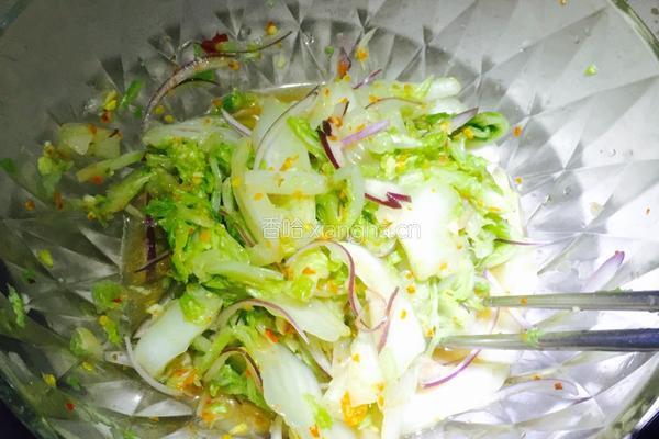 泡白菜的做法图解3