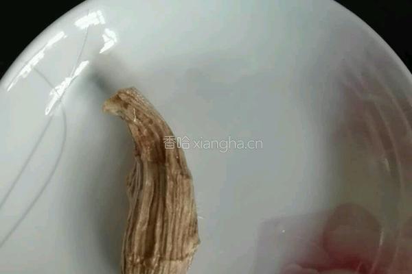 菜汁皮冻的做法图解12