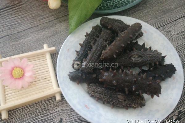 自发海参的做法图解7