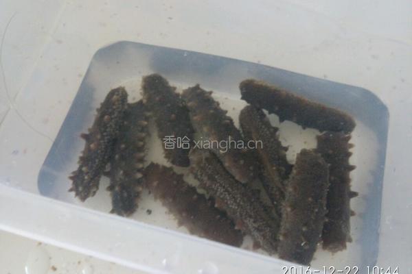 自发海参的做法图解9