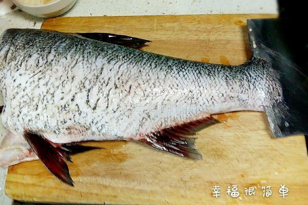 手工纯鱼丸的做法图解1