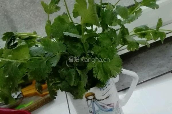 豆瓣烧焖子的做法图解6