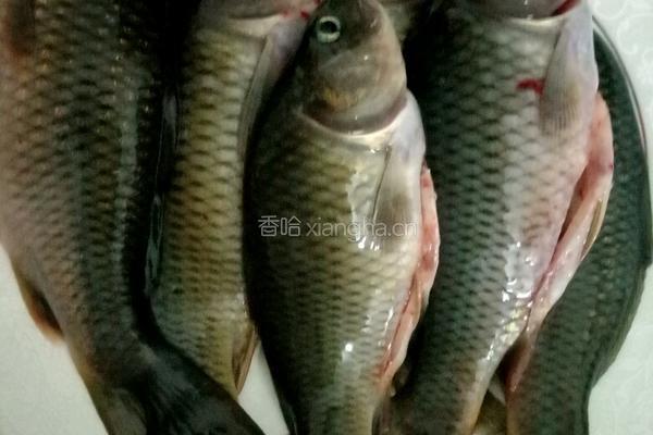 荷花鱼的做法图解1