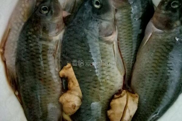 荷花鱼的做法图解3