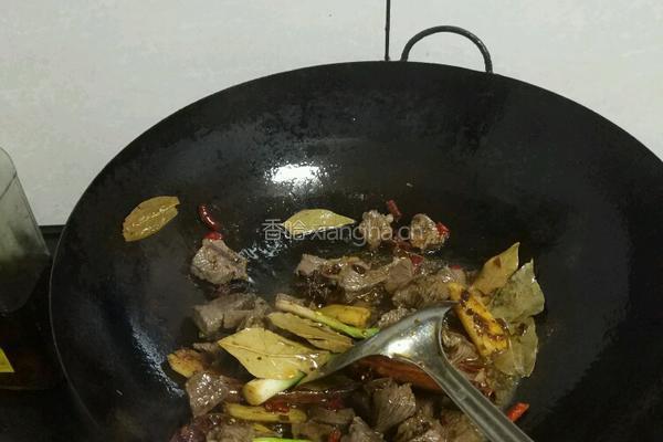 萝卜炖牛肉的做法图解4