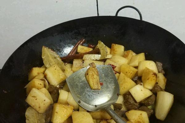 萝卜炖牛肉的做法图解6