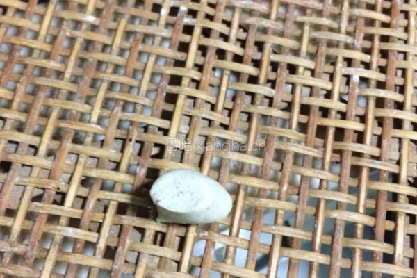 荞麦老鼠的做法图解8