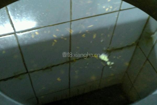 茄汁鸡柳的做法图解8
