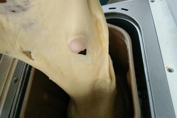 奶油酸奶豆沙包的做法图解3