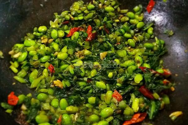 雪菜酱毛豆的做法图解4