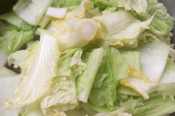 冬瓜白菜炖鸭肉的做法图解6