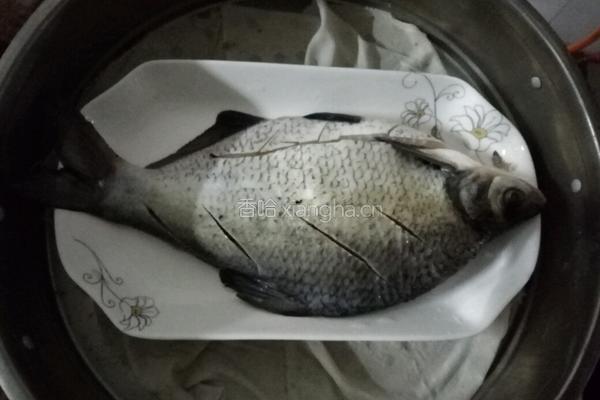 葱油鳊鱼的做法图解1