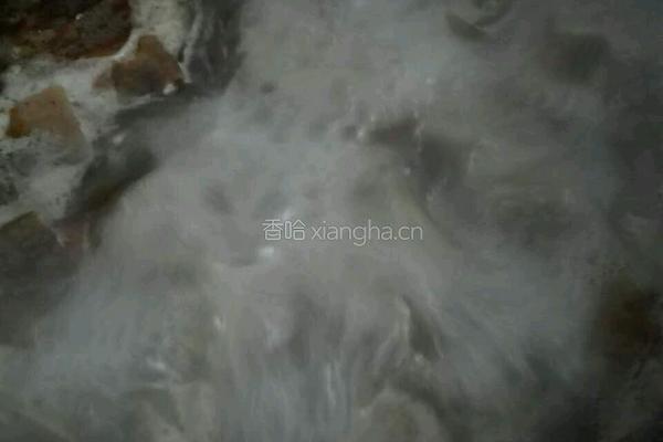 羊肉片海带汤的做法图解10