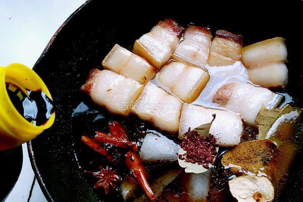 烧东坡肉的做法图解9