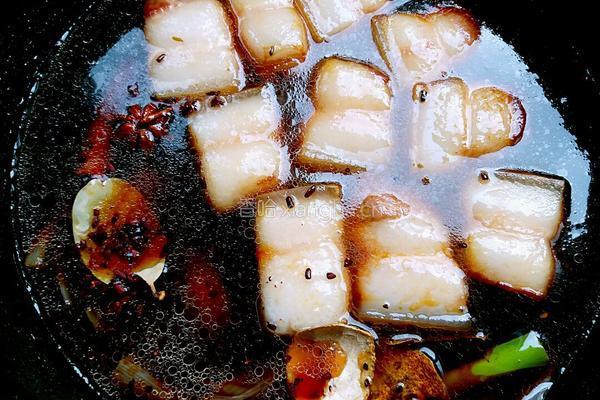 烧东坡肉的做法图解12