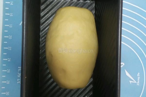 双色吐司的做法图解8