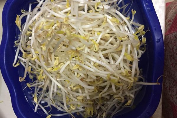 醋溜绿豆芽的做法图解1