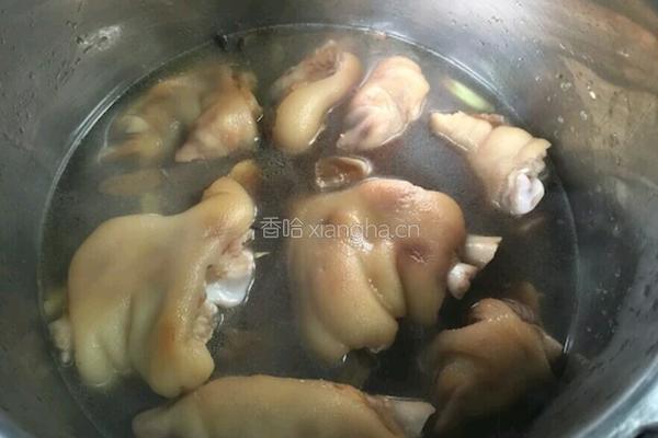 冰糖炖猪蹄的做法图解15