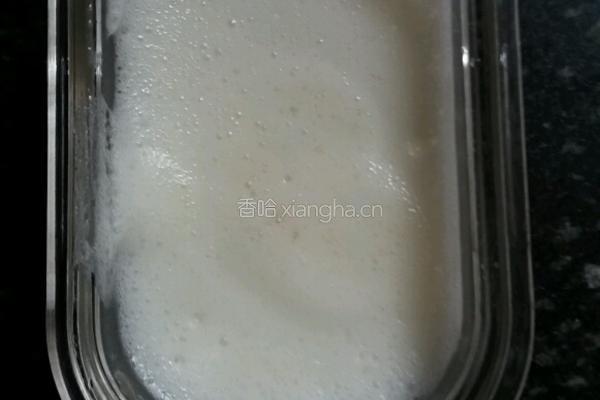 牛奶布丁
