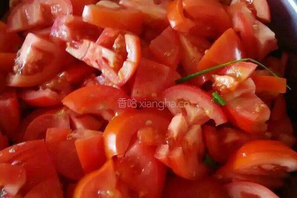 青椒炒肉的做法图解3