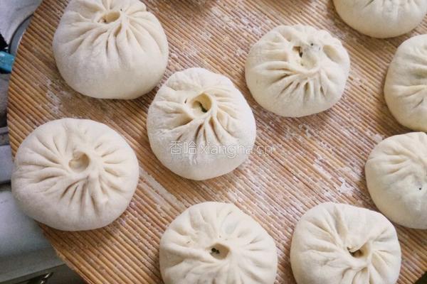茴香苗包子的做法图解10