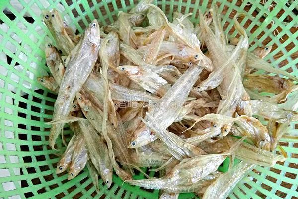 辣炒刨花鱼的做法图解1