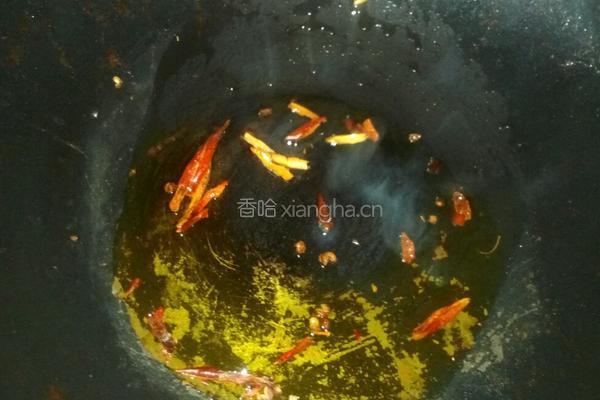 青椒豆皮的做法图解5