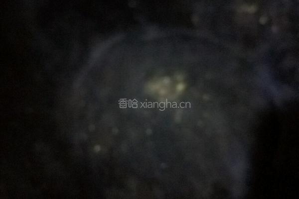 荷兰豆炒瘦肉的做法图解2