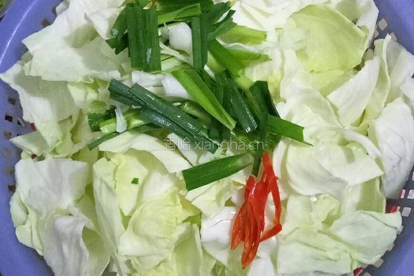 醋溜手撕包菜的做法图解2