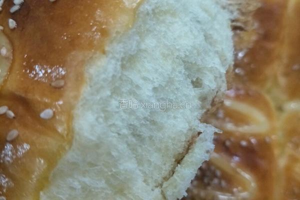 红豆馅面包的做法图解17