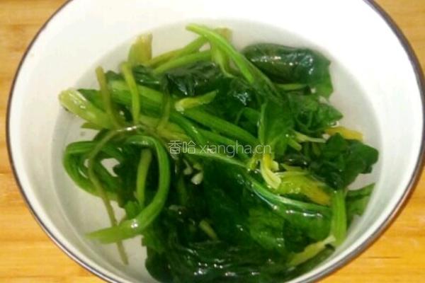 浇汁菠菜的做法图解11